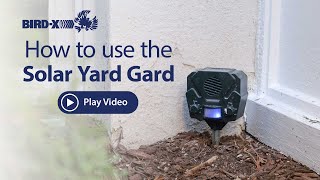 Solar Yard Gard Pest Animal Repeller [upl. by Alecram]