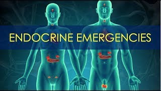 Endocrine Emergencies  Thyroid amp Pituitary Disorders [upl. by Roz]