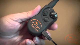 Charging Your SportDog SD425 Training Collar [upl. by Inahs]