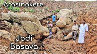 Centuries old Nandi statues excavated Arasinakere Jodi Basava Mysore Tourism Karnataka Tourism [upl. by Isaak892]