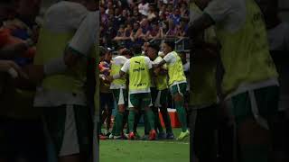 O PALMEIRAS É O TIME DA VIRADA [upl. by Raimes]