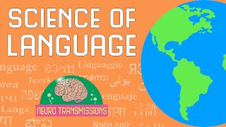 The Neuroscience of Language [upl. by Annadiane245]