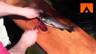 How to clean and fillet a trout [upl. by Lleraj]