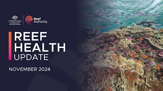 Reef Health Update  November 2024 [upl. by Trevorr947]