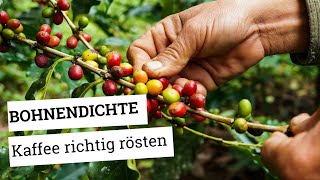 Hochlandkaffee  Anbauhöhe Dichte des Kaffees und wie Du die Kaffeebohnen entsprechend röstest [upl. by Nnawtna]