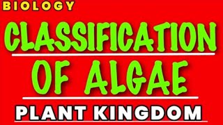 Classification of Algae  Plant Kingdom  class 11 biology [upl. by Eigram]