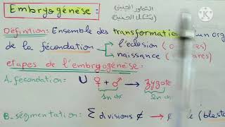 Ovogénese follicugénèseembryogénese biologie [upl. by Aymer]