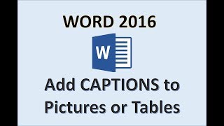 Word 2016  Picture Captions  How to Insert a Text Caption in an Image MS Office Microsoft Tutorial [upl. by Lundquist]