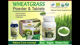 Wheatgrass Powder benefits [upl. by Irat]