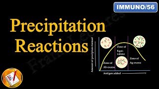 Precipitation Reactions and Precipitation Curve Diagnostic Immunology FLImmuno56 [upl. by Llabmik]