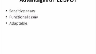 ELISA Vs ELISPOT [upl. by Nnahtur]