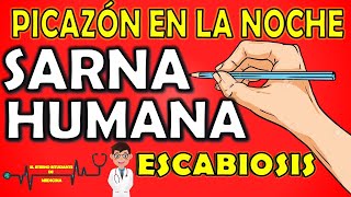 SARNA HUMANA  ESCABIOSIS⚡EXPLICACIÓN FÁCIL ¿Cómo se contagia Síntomas Diagnóstico y Tratamiento 📝 [upl. by Asilrac]