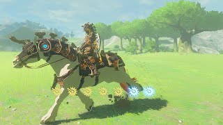 Zelda Breath of the Wild  Ancient Saddle and Bridle Locations EX Ancient Horse Rumors [upl. by Ayr739]