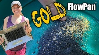 Gold Panning in Georgia with the FlowPan [upl. by Hawley958]