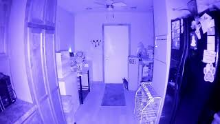 Andoer Mini IR Night Vision Light  FLIR One Gen3 Tests [upl. by Hibbs]