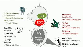 Psychologie 1  Evolutionspsychologie  Warum wir sind wie wir sind [upl. by Nyasuh]