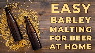 How to Malt Barley at Home  Homemade Beer Recipe  Homebrew India [upl. by Annette210]