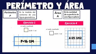 Concepto de perímetro y área de una figura plana [upl. by Cho]