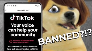 Lil doge and the TikTok ban [upl. by Eillek362]