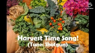 Harvest Time Song Tune ShotgunGeorge Ezra Harvest Celebration  Rhona Alcorn [upl. by Nicram]