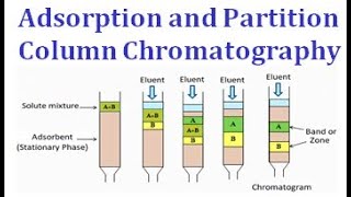 Adsorption and partition column chromatography [upl. by Noteloc]