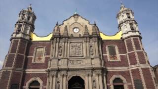 Basilica of Our Lady of Guadalupe Video Tour [upl. by Ecniv]