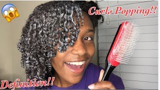 I Tried The DENMAN BRUSH For My Curls  I’m Shook [upl. by Nodnil]