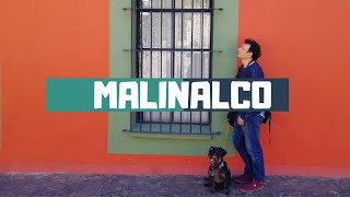 Malinalco el Pueblo Mágico más Pet friendly de México [upl. by Chien324]