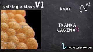 Biologia klasa 6 Lekcja 3  Tkanka łączna [upl. by Ardelle]