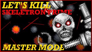 How to EASILY Beat MASTER MODE Skeletron Prime in Terraria 14 [upl. by Wolf675]