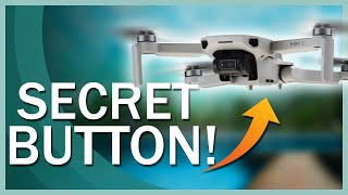 DJI Mini 2 Secret Button How to Use DJI Quick Transfer [upl. by Adigirb546]