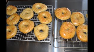 Best Asiago Onion Bagel Recipe [upl. by Hselin]