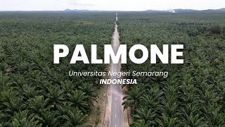 2023 Apec Yes Challenge  Team PALMONE [upl. by Dnomal]