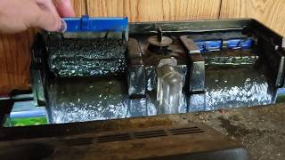 How I Clean The BioSponge On My HOB Filter [upl. by Wessling658]