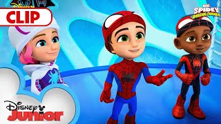 The Importance of Patience with Spidey  Marvels Spidey and His Amazing Friends  disneyjr [upl. by Primalia]