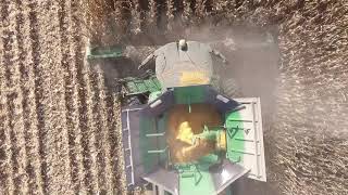 Koehler Family Farms  2018 John Deere S780 Combine [upl. by Norret]