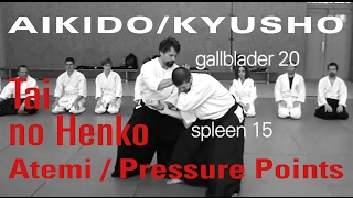 Tai no Henkō 体の変更 Atemi and Pressure Points  Aikido and Kyusho Jitsu [upl. by Auehsoj]