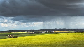 Musica e pioggia leggera per sollevare il tuo cuore ☔️ Citazioni ispiratrici [upl. by Lusty]