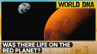 NASAs rover uncovers startling finds on Mars  World DNA  WION [upl. by Gibbeon327]