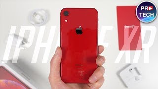 iPhone XR  важные нюансы и впечатление [upl. by Elbas]