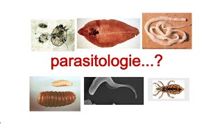 parasitologie 1 quelque notions de base [upl. by Llevron614]