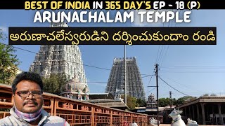 Arunachalam temple full tour in telugu  Tiruvannamalai  Arunachalam temple information  Tamilnadu [upl. by Albertina]