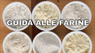 Guida alle farine  Corso di Panificazione  Tutorial Italiano [upl. by Tyrone384]