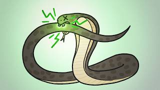 Why Dont Snakes Poison Themselves [upl. by Areid410]