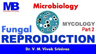 FUNGAL REPRODUCTION  Part 2 Mycology  Microbiology  Vivek Srinivas  Mycology Fungi [upl. by Ecirted316]