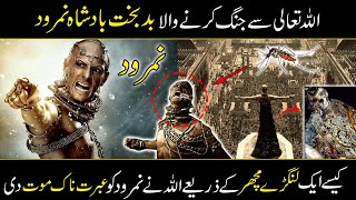 Namrood and Hazrat Ibrahim AS  Namrood Full Documentary In Urdu  Ilmi Planet [upl. by Udell]