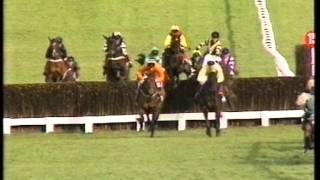 1995 Tote Cheltenham Gold Cup Chase [upl. by Elnore]