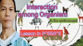 INTERACTION AMONG Living things in the Environment Grade 4 [upl. by Dalohcin758]