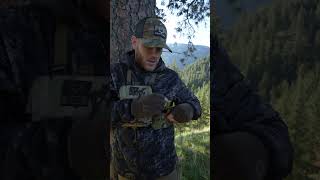 How I Run My Bino Harness For Spring Bear Hunting [upl. by Einomrah]