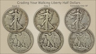 Grading Walking Liberty Half Dollars [upl. by Steffin]